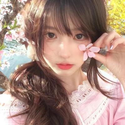 史迪奇头